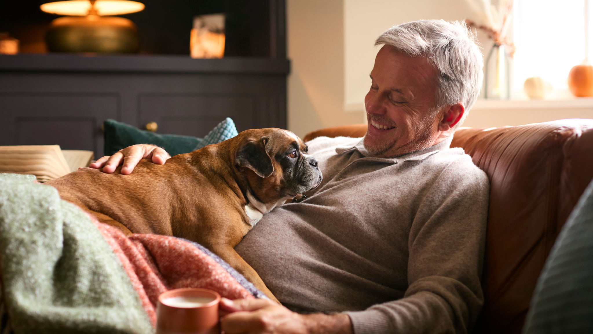 relaxed pet