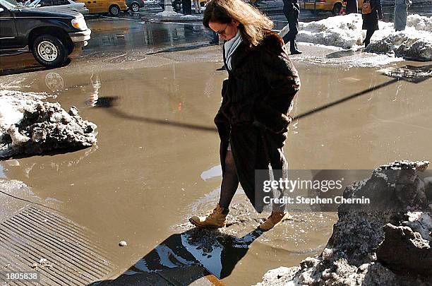Woman pulls her fur coat up as she wades through a huge puddle February 20, 2003 on Park Avenue in New York CIty. Warmer temperatures since the...