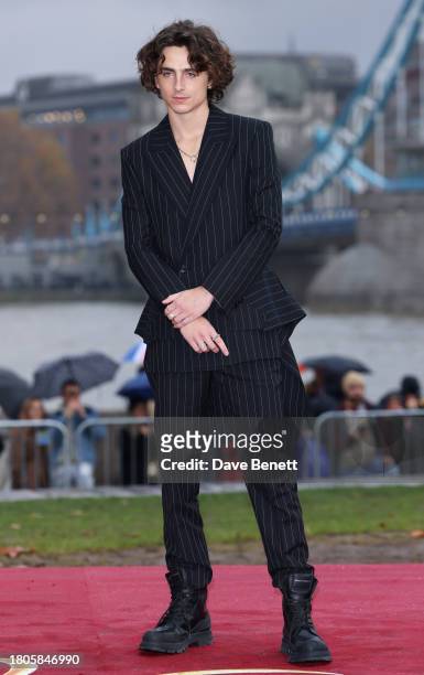 Timothee Chalamet attends the "Wonka" photocall in Pottersfield Park on November 27, 2023 in London, England.