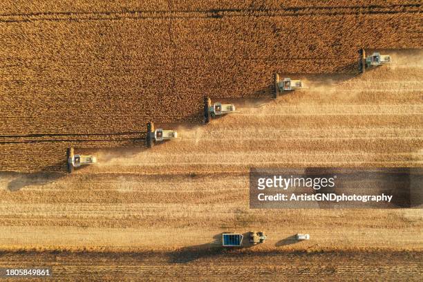 harvesting in agriculture crop field. - agricultural equipment bildbanksfoton och bilder