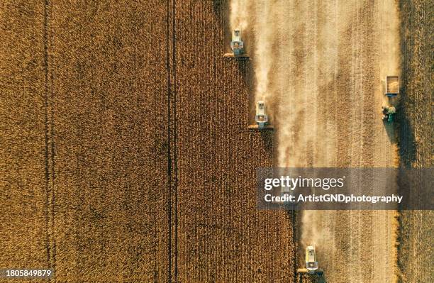 corn harvest with combines shot from above. - abundance stock pictures, royalty-free photos & images