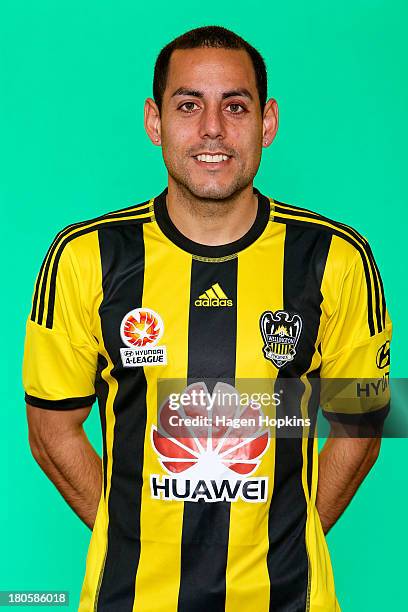 Leo Bertos of the Phoenix poses during the 2013/14 Wellington Phoenix A-League headshots session on September 13, 2013 in Wellington, New Zealand.