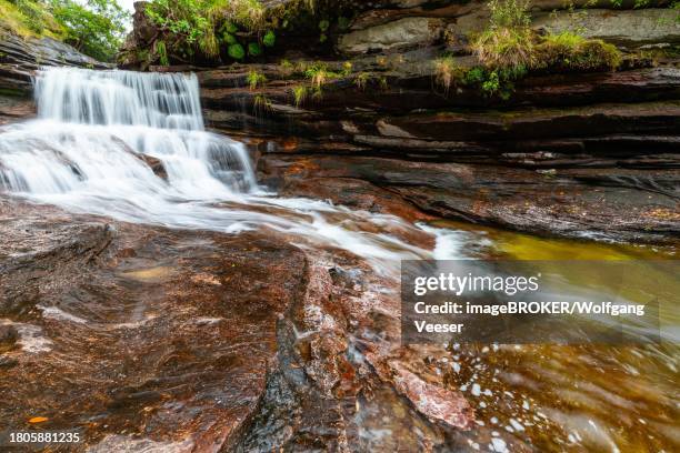 cano christales, stream, waterfall, sierra de la macarena, la macarena, colombia - provincia de sevilla stock pictures, royalty-free photos & images