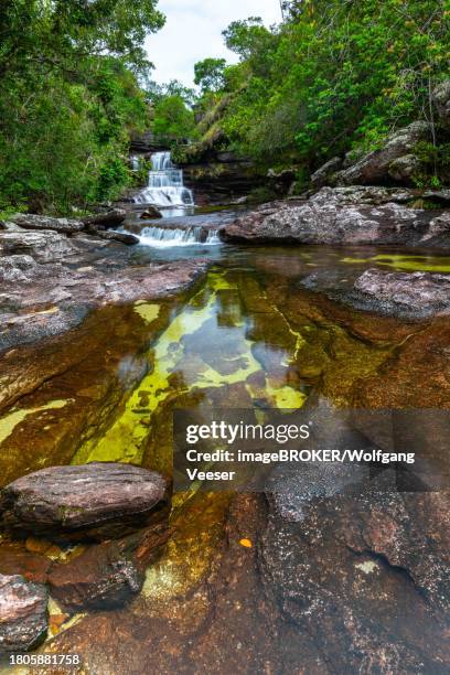 cano christales, stream, waterfall, sierra de la macarena, la macarena, colombia - provincia de sevilla stock pictures, royalty-free photos & images