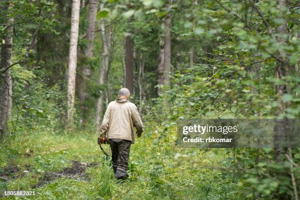 illegal hunting in the forest - man with a hunting rifle walking through the forest, poaching - poaching animal welfare 個照片及圖片檔