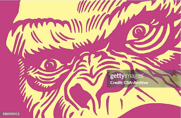 illustrations, cliparts, dessins animés et icônes de gros plan d'un gorille - grand singe