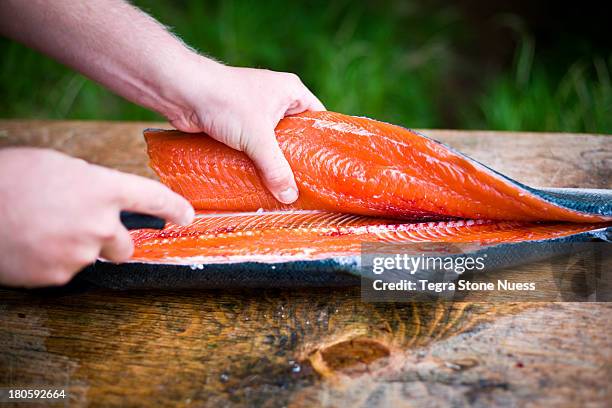 filleting a freshly caught salmon. - dog food bildbanksfoton och bilder