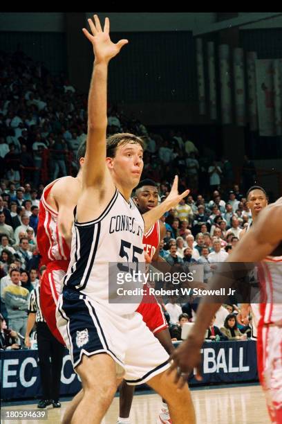 University of Connecticut basketball player Dan Cyrulik calls for the ball while posting up, Storrs, Connecticut, 1992.