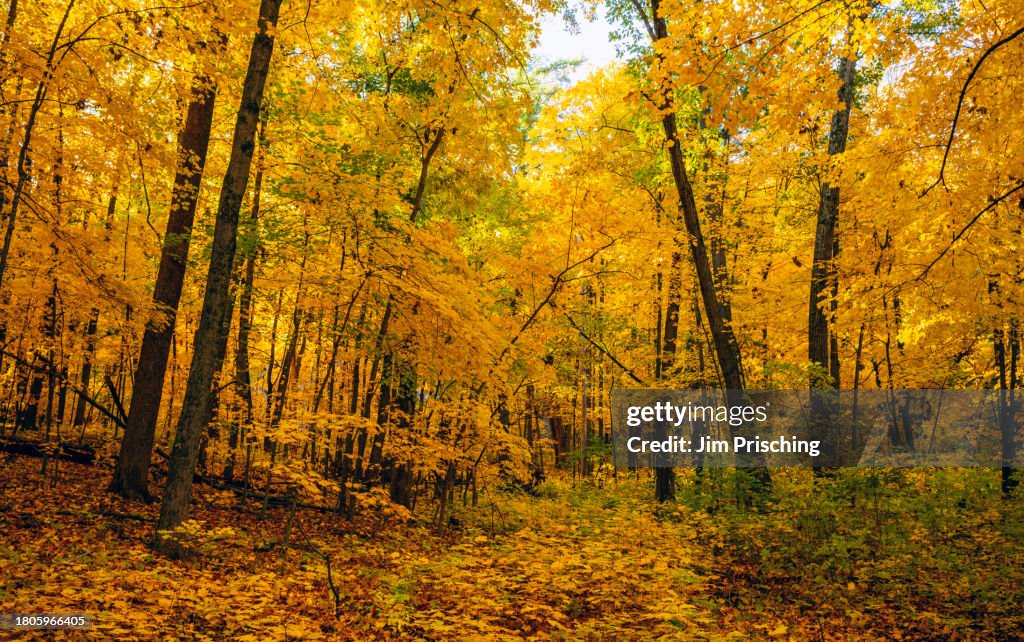 Devils Lake State Park Fall Colors