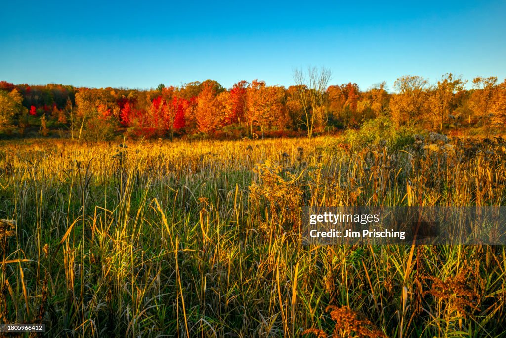 Devils Lake State Park Fall Colors
