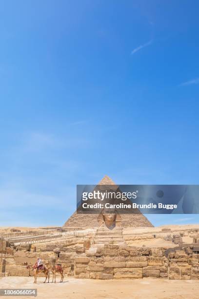 man sitting on a camel at the pyramids of giza, giza necropolis, egypt - gizeh stock pictures, royalty-free photos & images