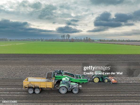 Potato and Carrot Harvesting in Netherlands