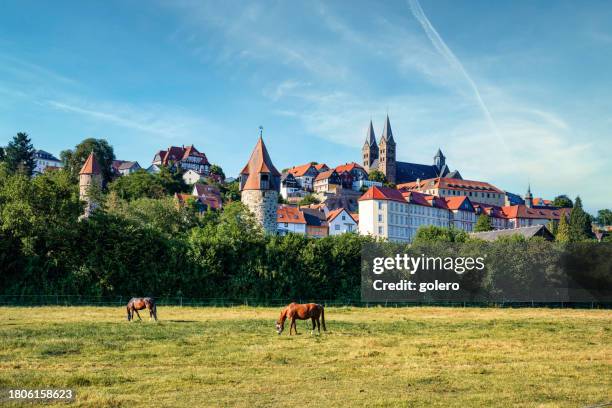 cityscape of fritzlar with cathedral under blue sky - stone town stock pictures, royalty-free photos & images