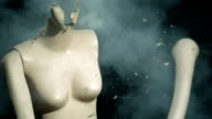 preview clip thumb