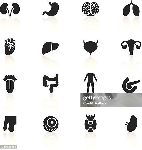 black symbols - human organs - human pancreas stock illustrations