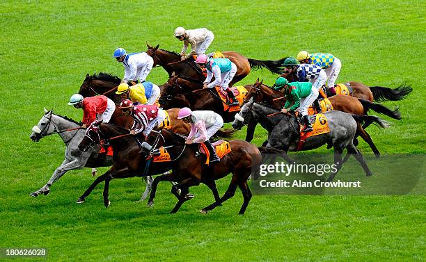 Runners make their way down the track in The Qatar Prix Gladiateur Grand Prix des Benevoles at Longchamp racecourse on September 15, 2013 in Paris,...