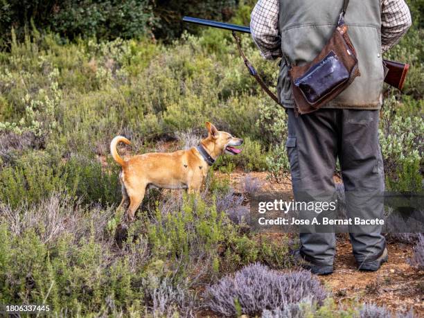 Hunting For Rabbits The Gun Bunnies Photos et images de collection - Getty Images