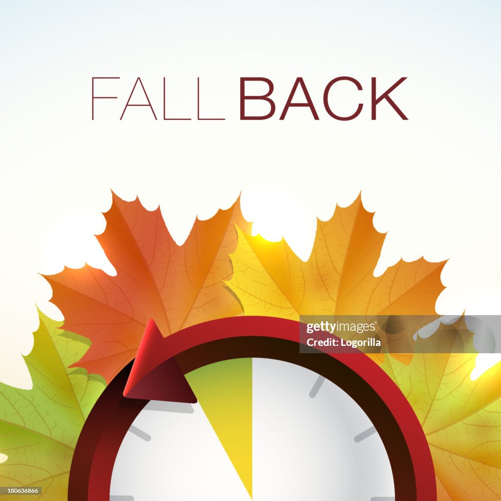 Fall Back - Daylight savings