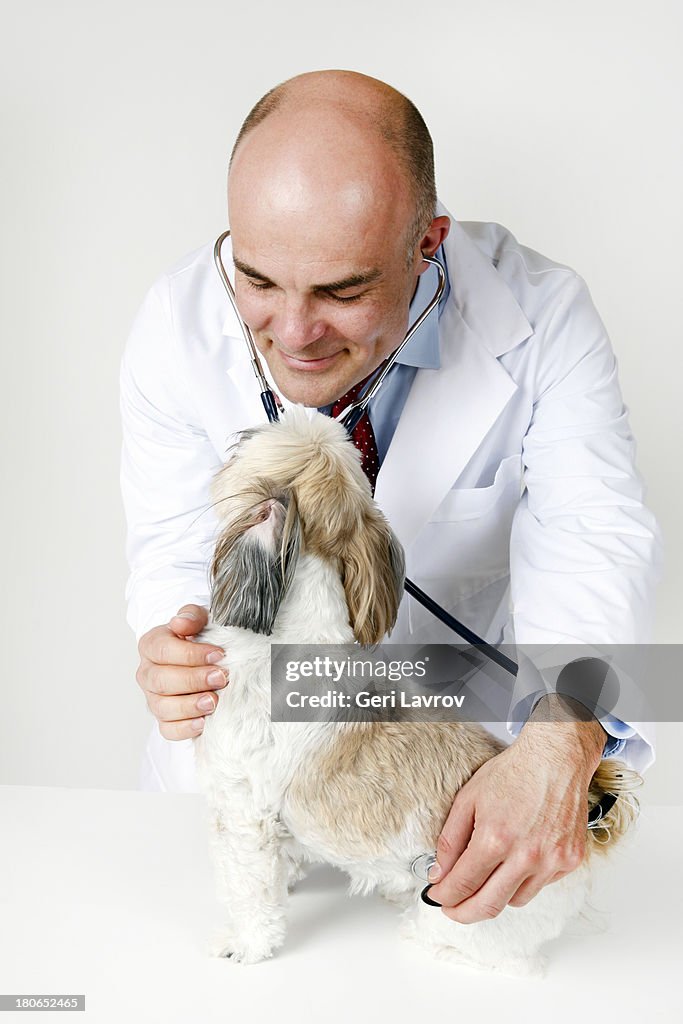 Veterinarian listening to a heartbeat of a dog