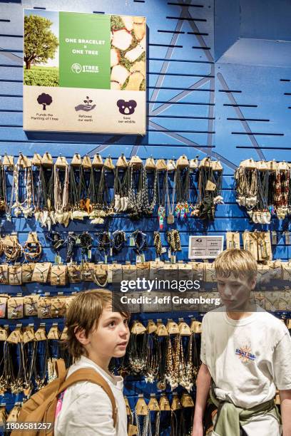 18 Aquarium Gift Shop Stock Photos, High-Res Pictures, and Images