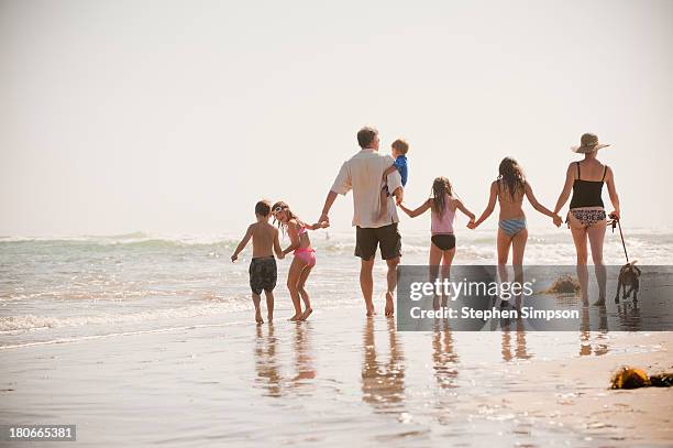 family of seven walks on the beach with their dog - large family ストックフォトと画像