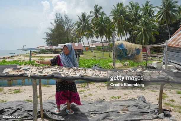 Worker dries salted fish at Tanah Kuning village near The Kalimantan Industrial Park Indonesia in Bulungan Regency, North Kalimantan, Indonesia, on...