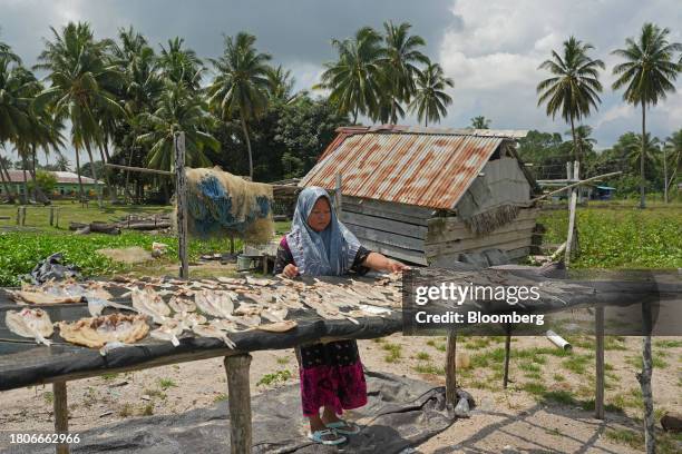 Worker dries salted fish at Tanah Kuning village near The Kalimantan Industrial Park Indonesia in Bulungan Regency, North Kalimantan, Indonesia, on...