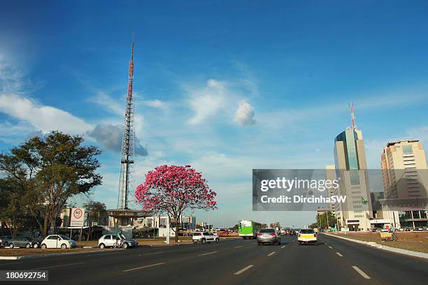 brasília - brazil . - distrito-federal-brasilia stock-fotos und bilder