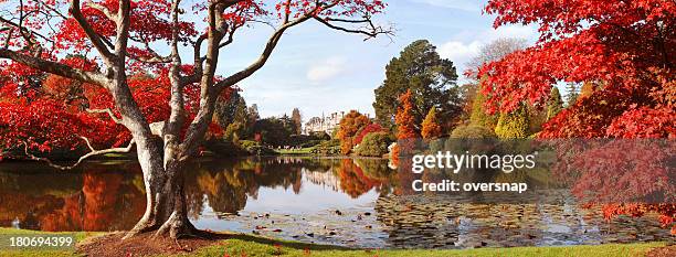 autumn in england - four seasons stock pictures, royalty-free photos & images