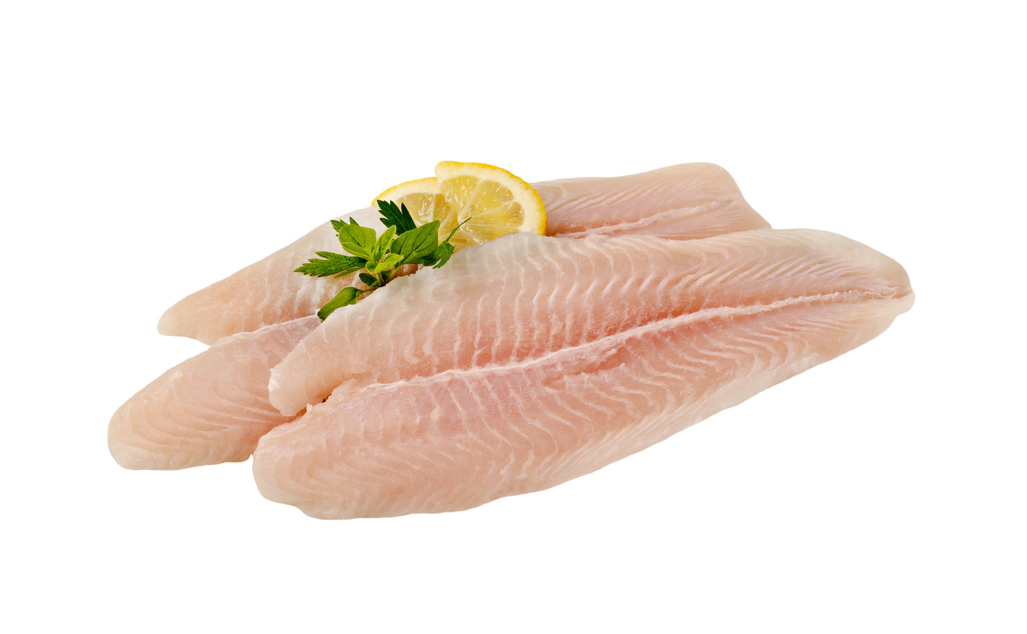 fresh seafood