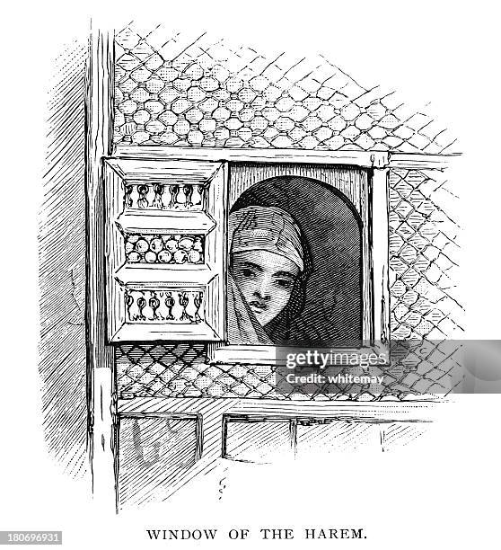 woman peering through a harem window - bordello 幅插畫檔、美工圖案、卡通及圖標