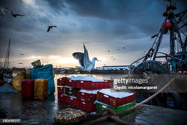 fishing industry: bringing in the catch - fish market stockfoto's en -beelden