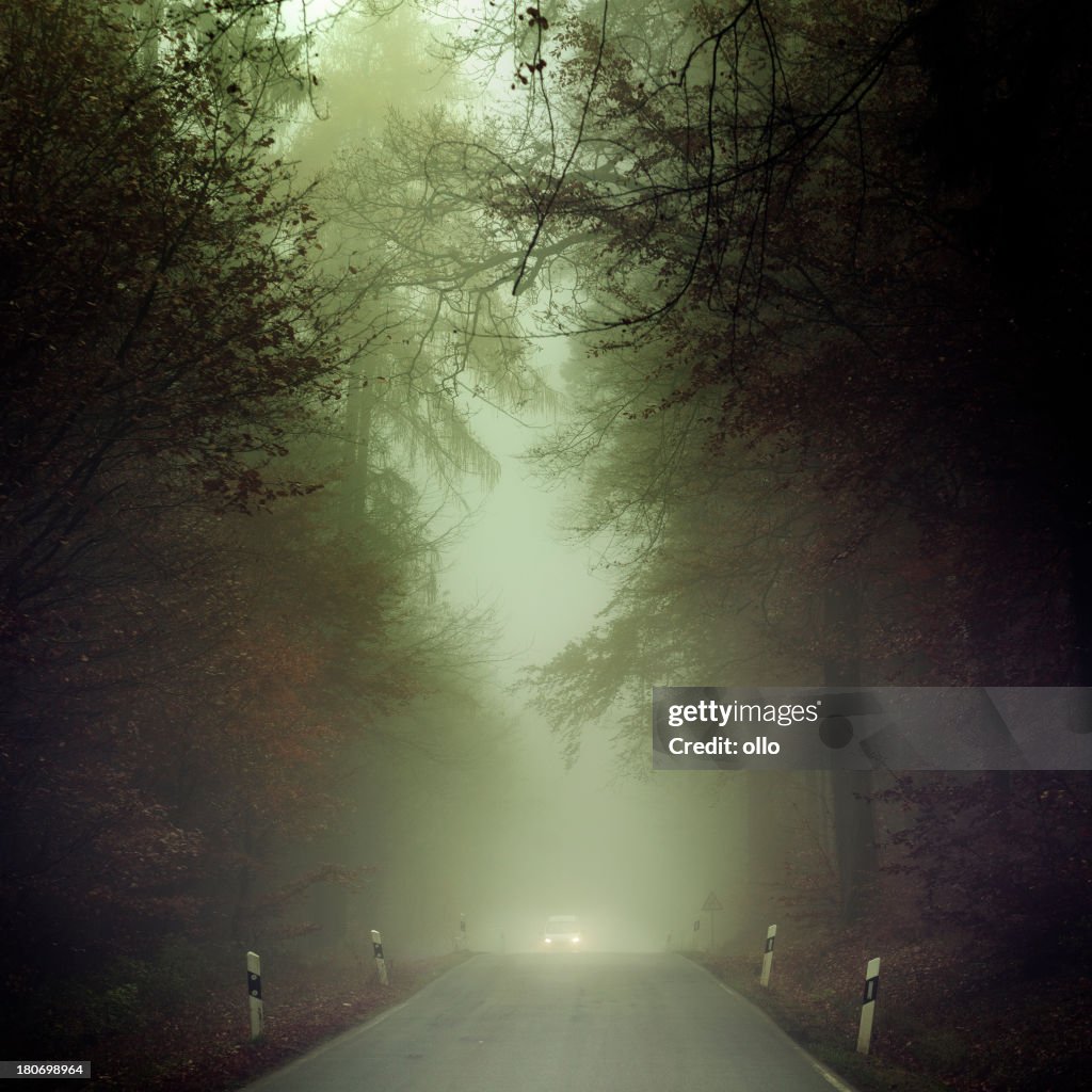 Dense fog on the country road, oncoming traffic