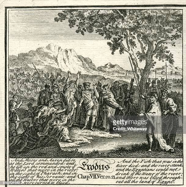 exodus plagues of egypt fishes die 18th century bible engraving - copperplate engraving stock illustrations