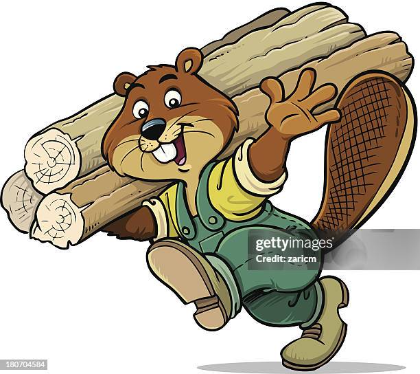 beaver - funny beaver stock illustrations