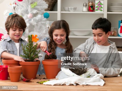 Junge Kinder Eintopfen Pflanzen an Weihnachten Junge Kinder Eintopfen Pflanzen an Weihnachten