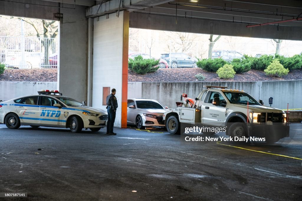 Man Shot And Killed In The Bronx