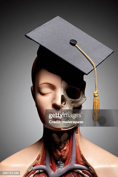 human anatomy model with graduation cap - medical school graduation stock pictures, royalty-free photos & images