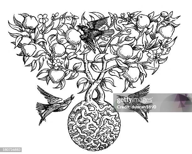 vogel und apple baum-motiv - crow bird stock-grafiken, -clipart, -cartoons und -symbole