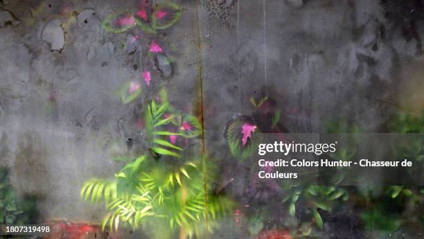 green plants seen through the opaque window of an apartment in london, england, united kingdom - pátina fotografías e imágenes de stock