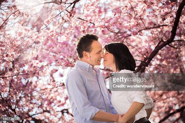 mature couple kissing under pink cherry tree blossoms - cherry kiss 個照片及圖片檔