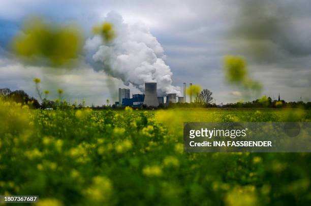 Photo taken on November 28, 2023 shows the lignite-fired power station operated by German energy giant RWE behind field with rapeseed in...