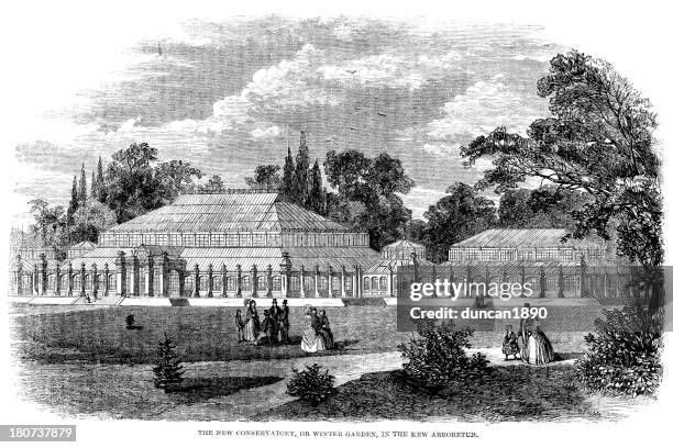 kew gardens - kew gardens palm house stock illustrations