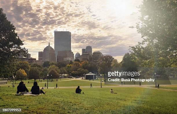 people sitting on lawn in the boston common public park - boston beacon hill stock-fotos und bilder