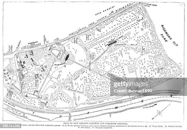 map of kew gardens - richmond upon thames stock illustrations