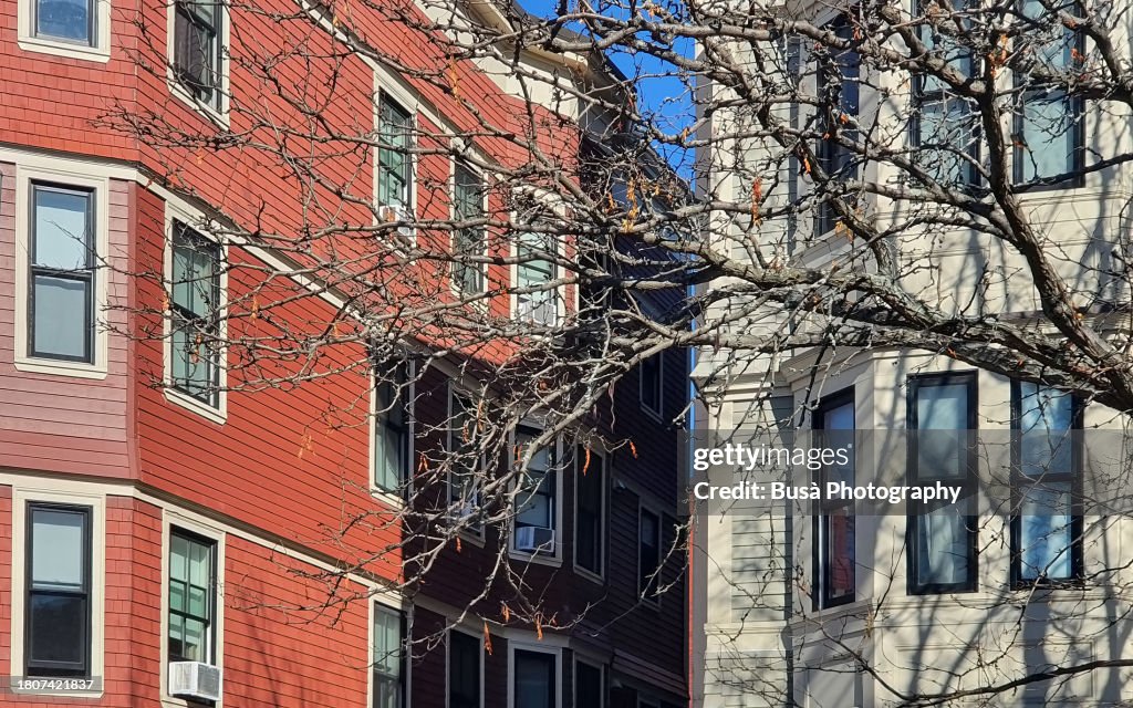 Wooden apartment buildings in Cambridge, Massachussets, USA