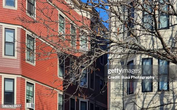 wooden apartment buildings in cambridge, massachussets, usa - cambridge massachusetts stock pictures, royalty-free photos & images