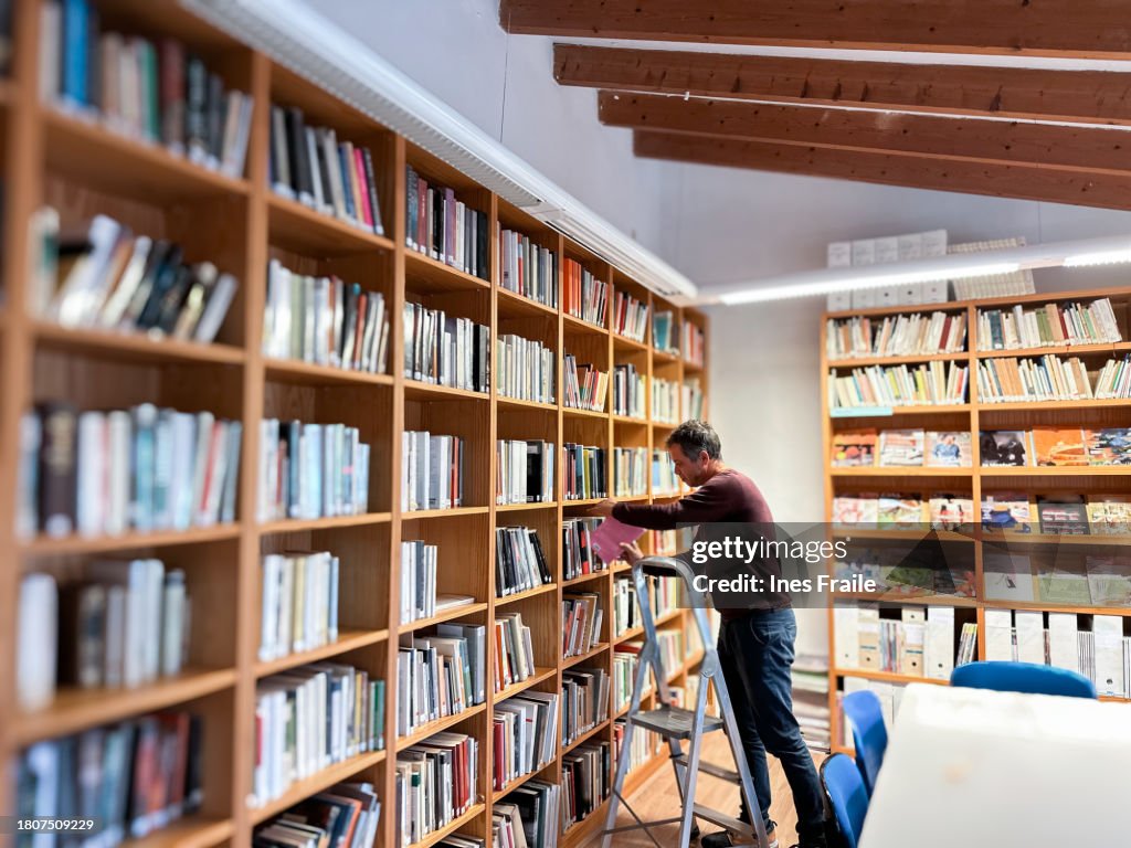 Bel bibliotecario che mette i libri sullo scaffale di una biblioteca