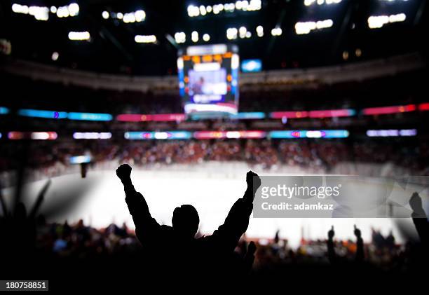 hockey excitement - ice hockey stock pictures, royalty-free photos & images