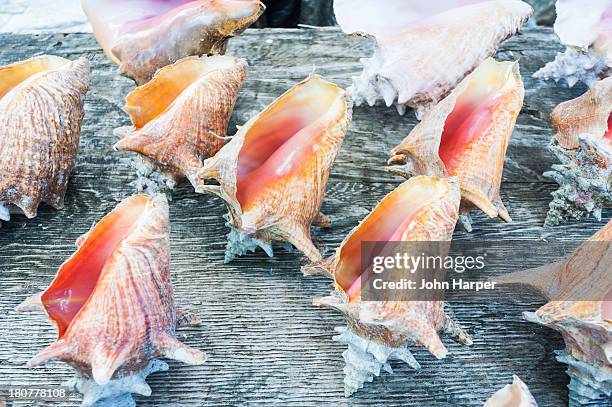 Pigeon Point Beach Photos and Premium High Res Pictures - Getty Images